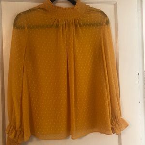 Beautiful spring/fall blouse